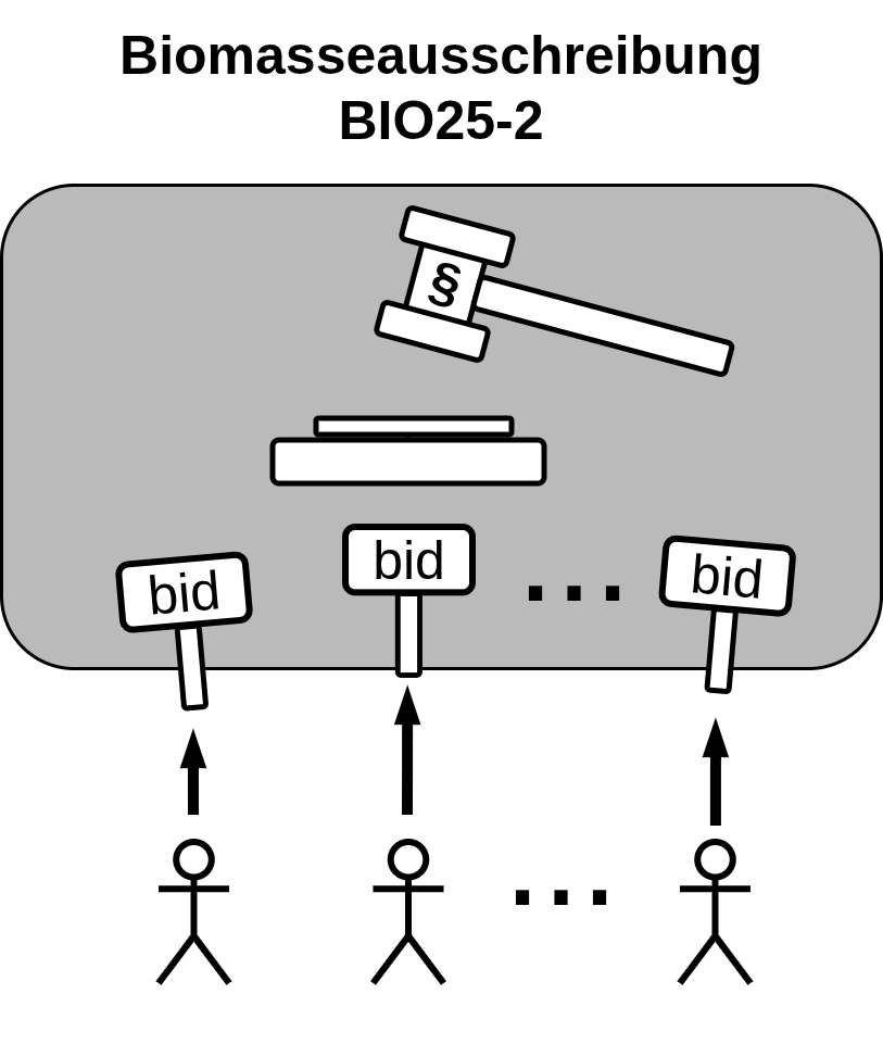 Deep Dive – Ergebnisse der Biomasseausschreibung Oktober 2025